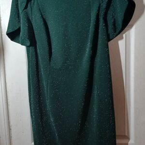 Calvin Klein Sparkling Green Long Sleeve Dress